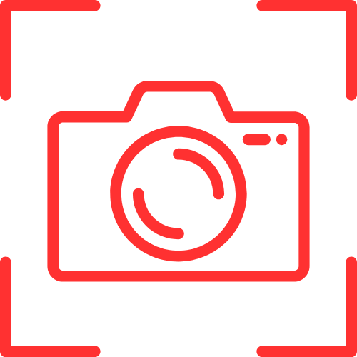 Hamster Cams Com